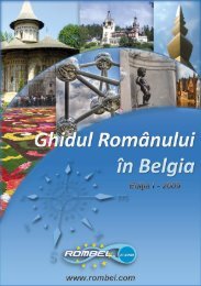 Ghidul Românului în Belgia