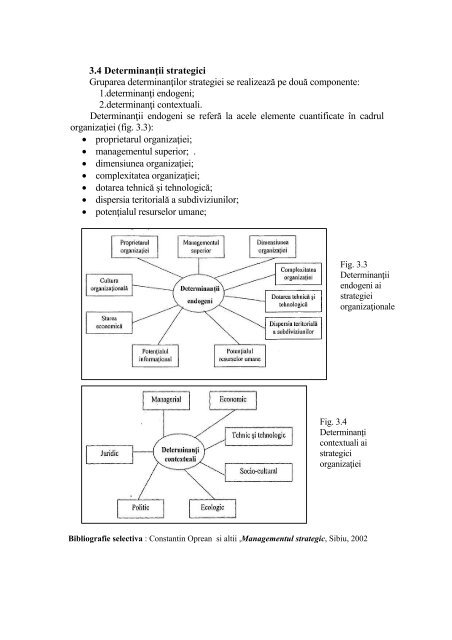 Managementul Strategic al Fabricatiei Mecanice TAF MTP IMFM