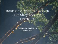 Betula in the World and Arboreta IDS Study week-end Devon UK