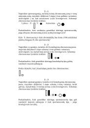 Praktikos darbai