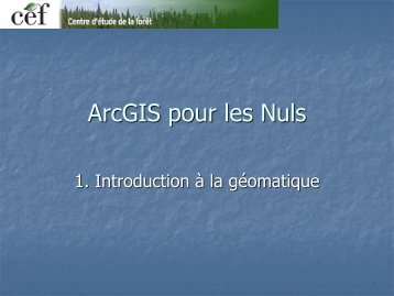 ArcGIS pour les Nuls