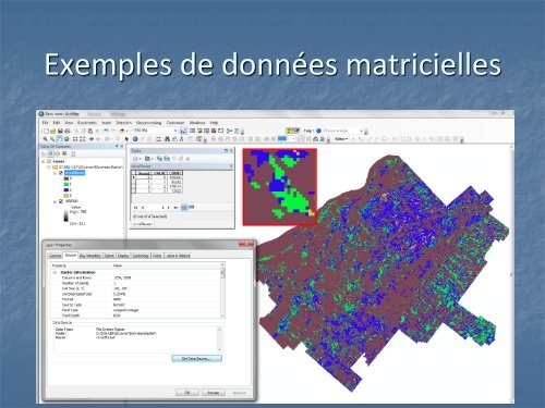 ArcGIS pour les Nuls