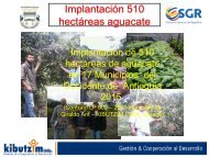 present 510 ha aguacate 17 mpios  Occ Ant 2015