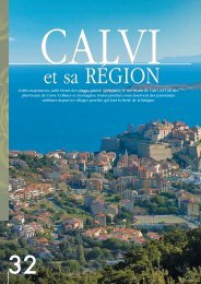 CALVI