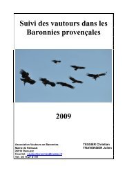 Suivi des vautours dans les Baronnies provençales 2009