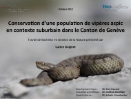 Eric Schweizer Nourriture d'hiver pour oiseaux Boules de mésanges dans un  seau, 30 x 90 g, sans filet