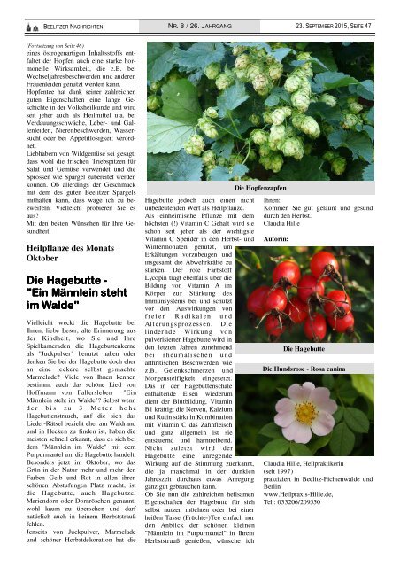 Beelitzer Nachrichten - September 2015