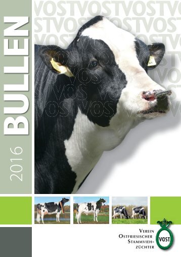 VOST-Bullenkatalog 2015/16