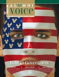 Bulls in Government
