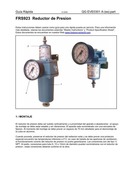 FRS923 Reductor de Presion - Foxboro Eckardt