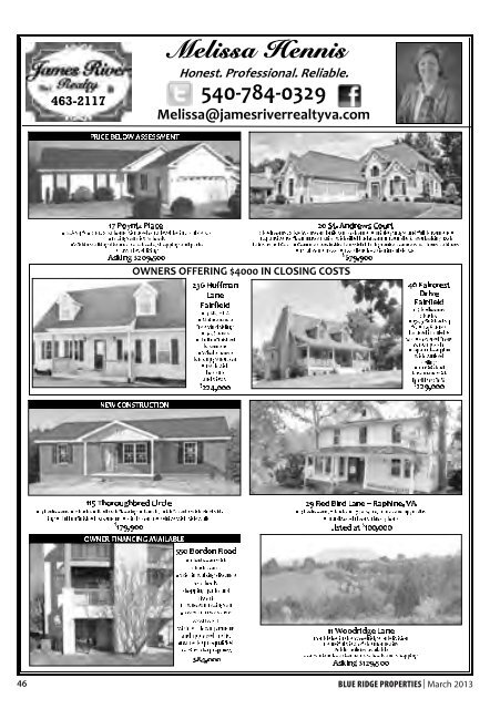 BLUE RIDGE PROPERTIES