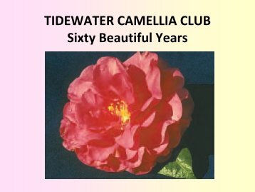 TIDEWATER CAMELLIA CLUB Sixty Beautiful Years