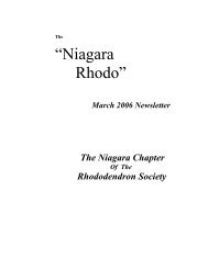 “Niagara Rhodo”