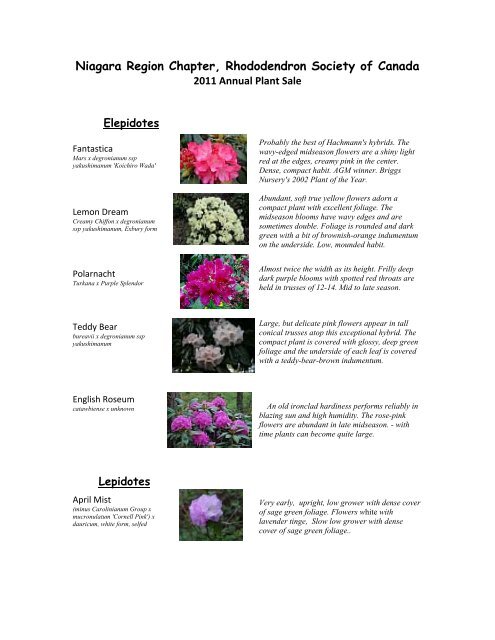 Niagara Region Chapter Rhododendron Society of Canada