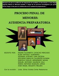 HISTORIETA-AUDIENCIA-PREPARATORIA