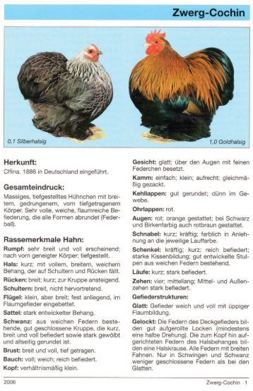 Zwerg-Cochin PDF - KGZV Rorschacherberg