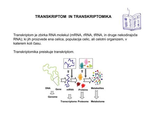 TRANSKRIPTOM IN TRANSKRIPTOMIKA