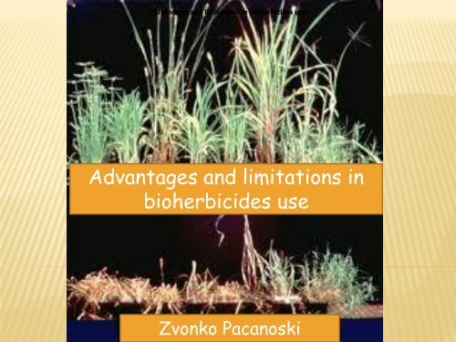 Advantages and limitations in bioherbicides use