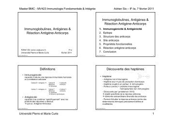 Immunoglobulines, AntigÃ¨nes & RÃ©action AntigÃ¨ne-Anticorps ...