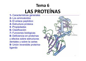 BQ-14-15 Tema 6  Proteínas