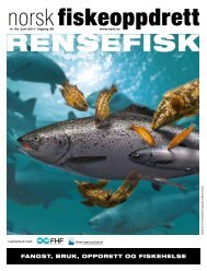 Rensefisk