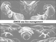 EWOS sea lice management