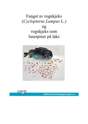 Fangst av rognkjeks (Cyclopterus Lumpus L.) og rognkjeks som lusespiser på laks