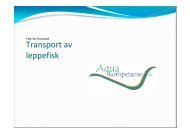 Transport av leppefisk