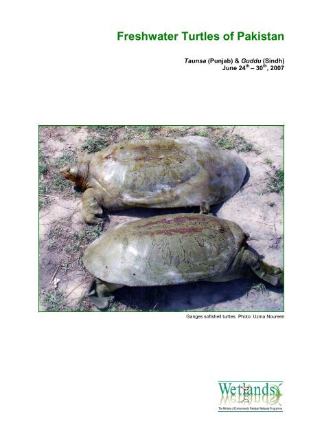 Freshwater Turtles of Pakistan