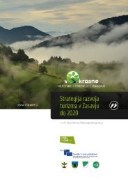 ii Strategija razvoja turizma v Zasavju do 2020