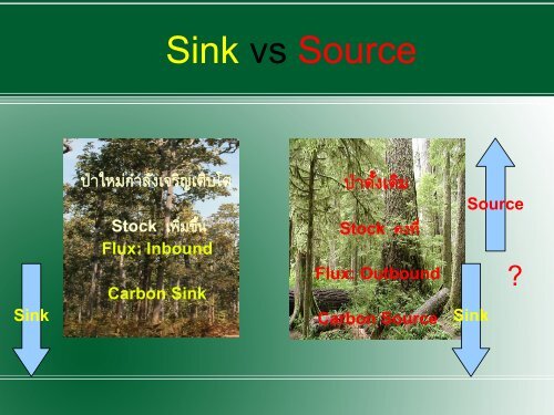 Forest and Mitigation