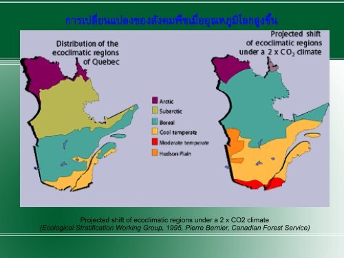 Forest and Mitigation