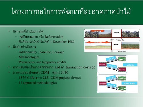 Forest and Mitigation