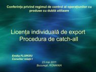 Procedura de catch-all