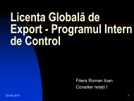 Export - Programul Intern de Control