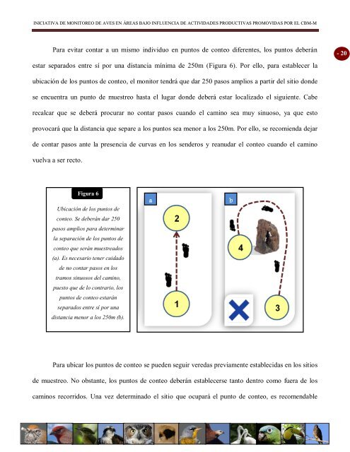 MANUAL PARA MONITORES COMUNITARIOS DE AVES