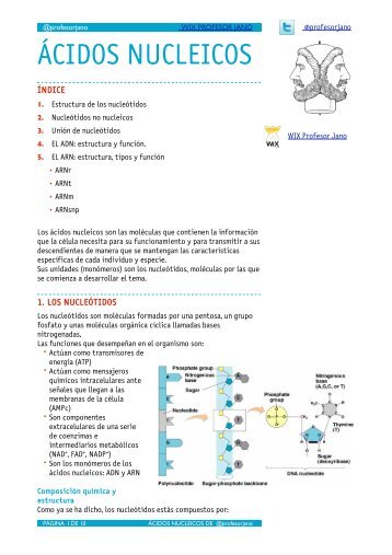 ÁCIDOS NUCLEICOS apuntes