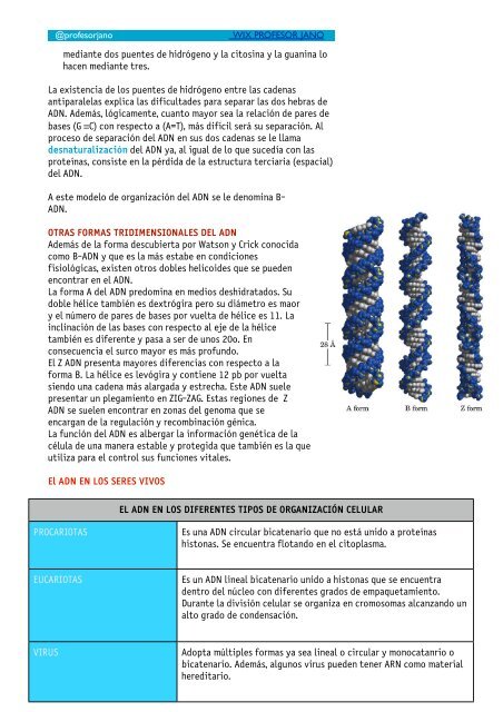 ÁCIDOS NUCLEICOS apuntes