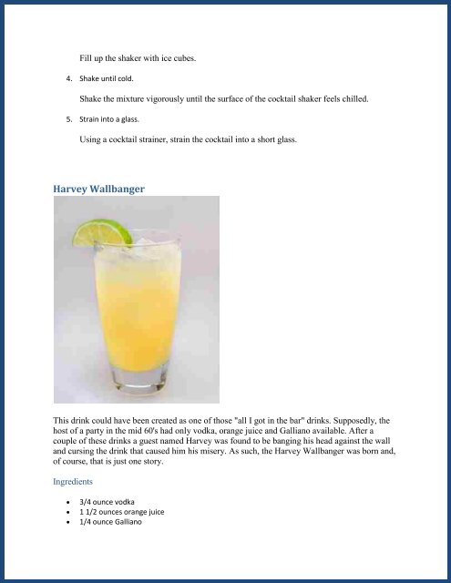 Tang's Cocktail Recipe Book