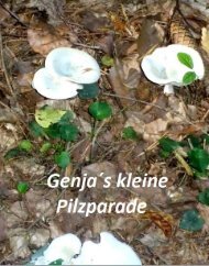 Kleine Pilzparade