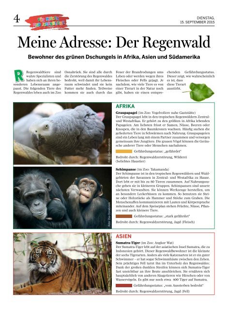 kinderzeitung_regenwald_1442999489