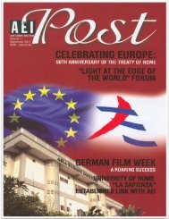AEI Post Vol 1 - 2007