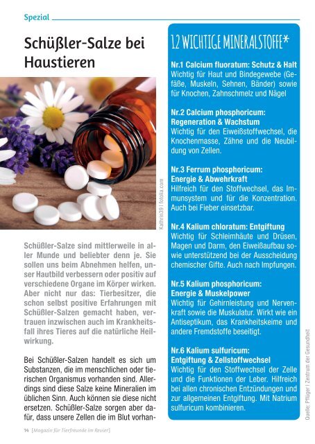 BESTE KUMPELS MAGAZIN für Tierfreunde im Revier