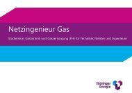 Netzingenieur Gas