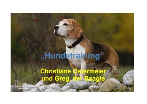 HundetrainingOstermeier