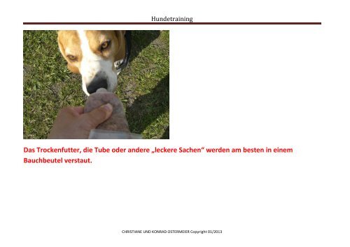 HundetrainingOstermeier