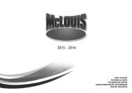 McLOUIS-Technical-2016