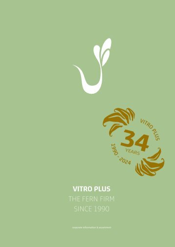 VitroPlus Fern Catalog