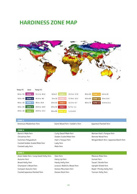 VitroPlus Fern Catalog