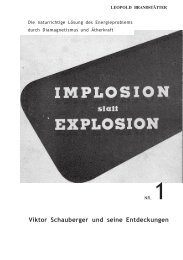 Implosion-statt-Explosion---Leopold-Brandst-tter-V1
